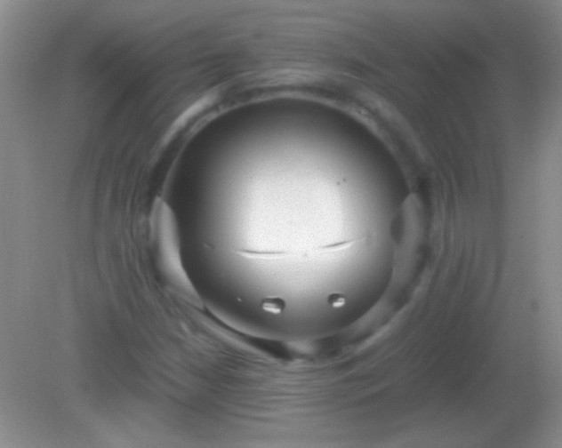 X0000082141210200701262234