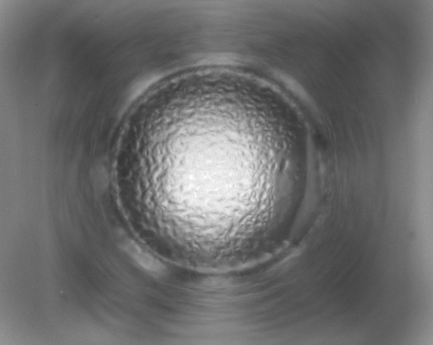 X0000082141212200701262234