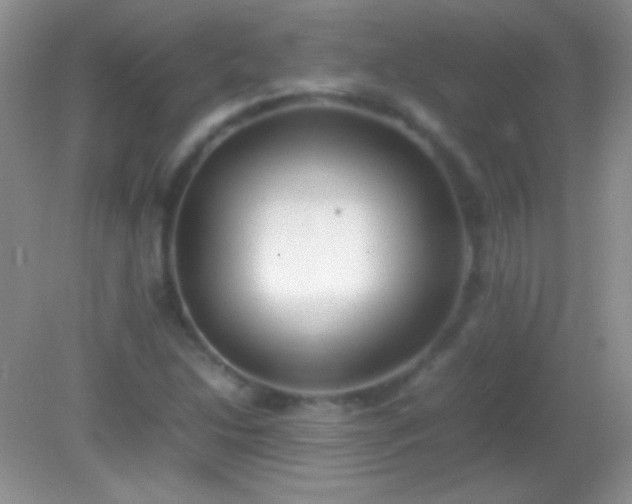 X0000082141214200701262234