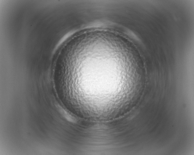 X0000082141216200701262234