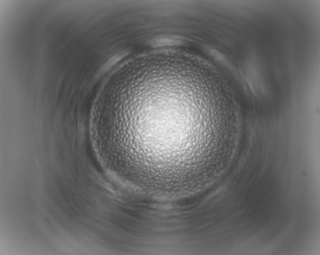 X0000082141217200701262234