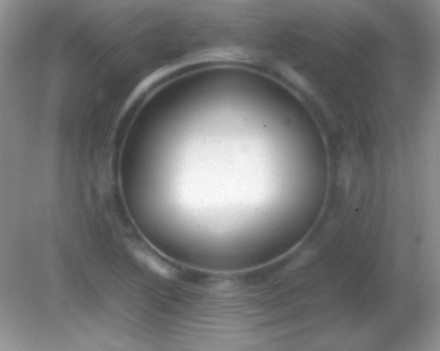 X0000082141222200701262234
