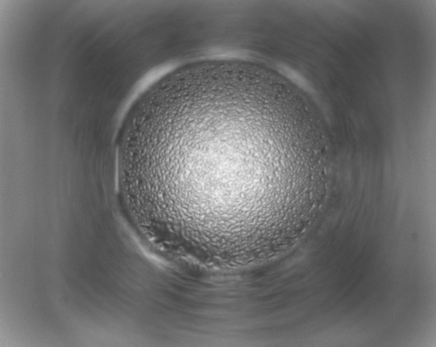 X0000082141223200701262234