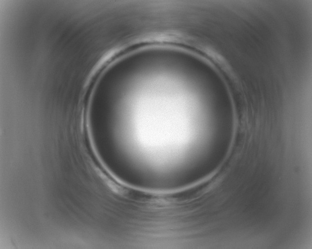X0000082141224200701262234