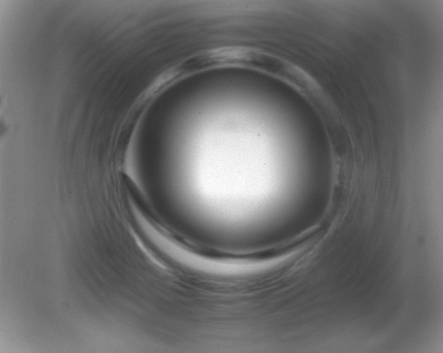 X0000082141225200701262234