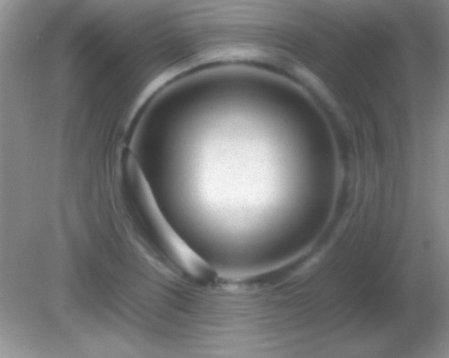 X0000082141226200701262234