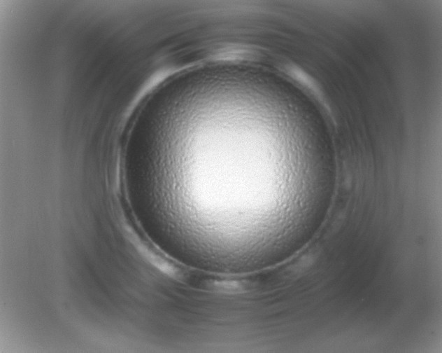 X0000082141227200701262234