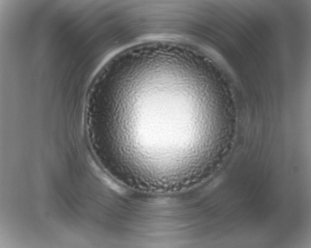 X0000082141228200701262234