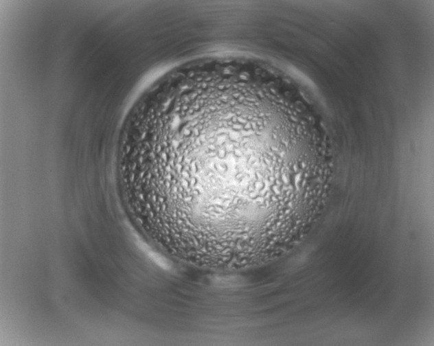 X0000082141231200701262234
