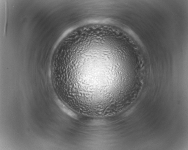 X0000082141232200701262234