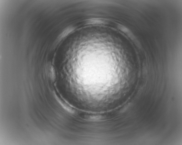 X0000082141233200701262234