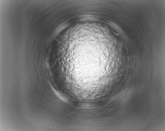 X0000082141241200701262234