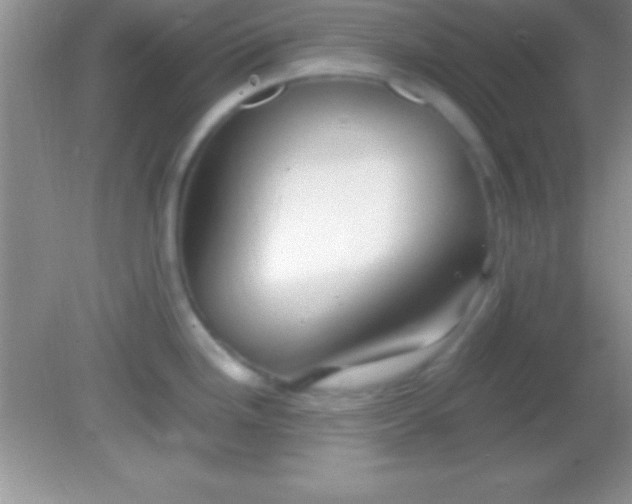 X0000082141246200701262234
