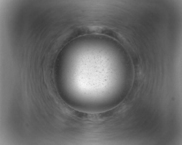 X0000082141249200701262233
