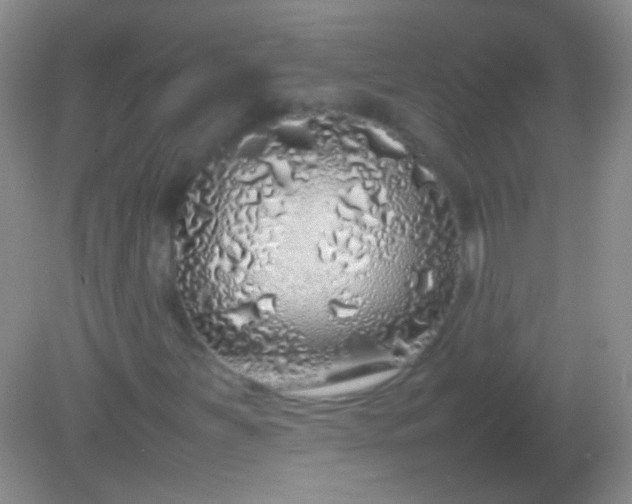 X0000082141251200701262233