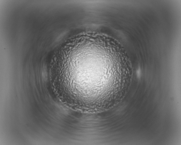 X0000082141252200701262233