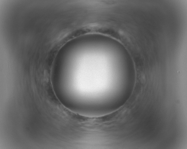 X0000082141253200701262233