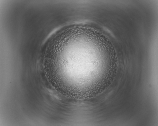 X0000082141256200701262233