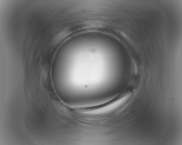 X0000082141257200701262233
