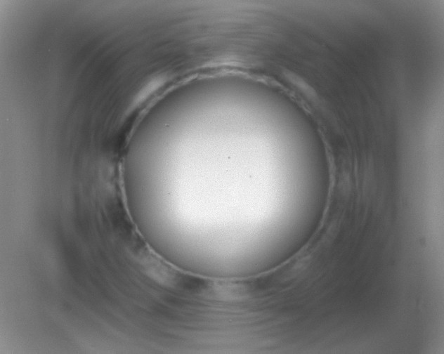 X0000082141258200701262233