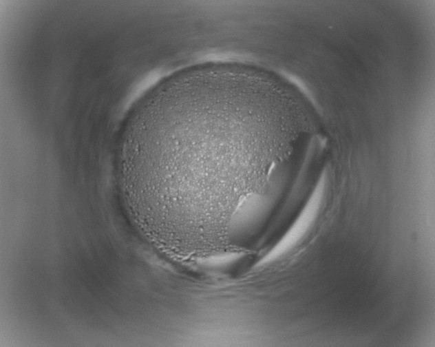 X0000082141263200701262233