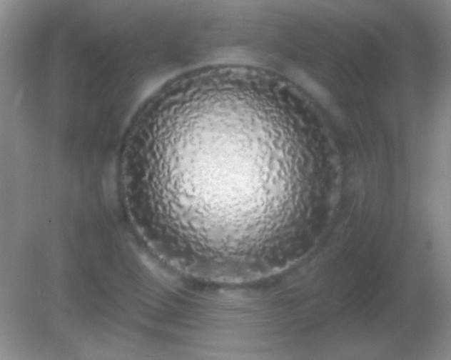X0000082141264200701262233