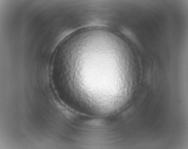 X0000082141268200701262233