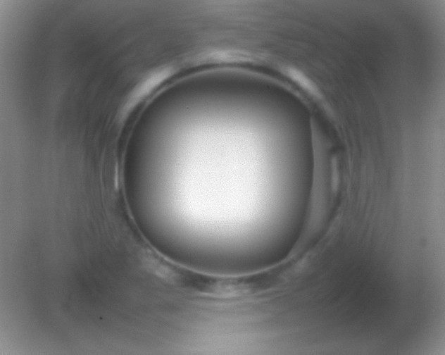 X0000082141269200701262233