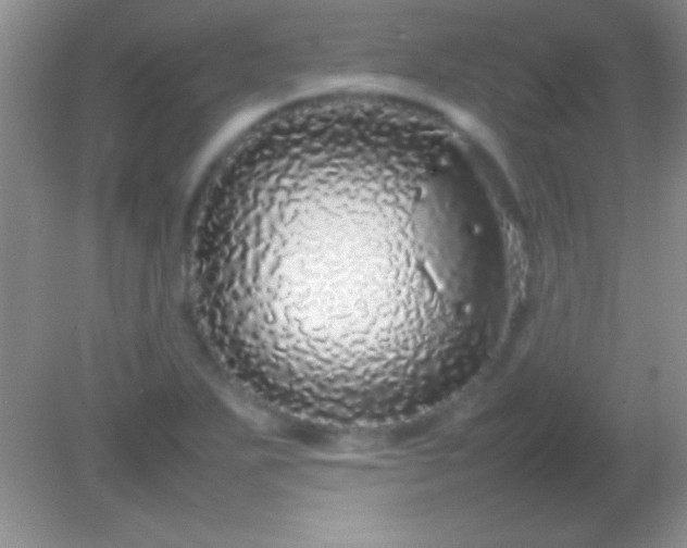 X0000082141271200701262233