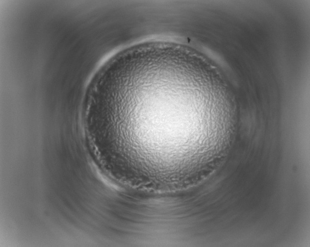 X0000082141272200701262233