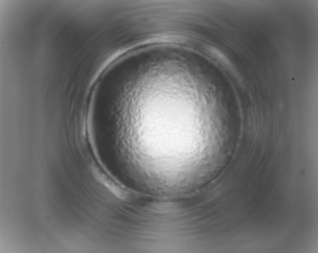 X0000082141276200701262233