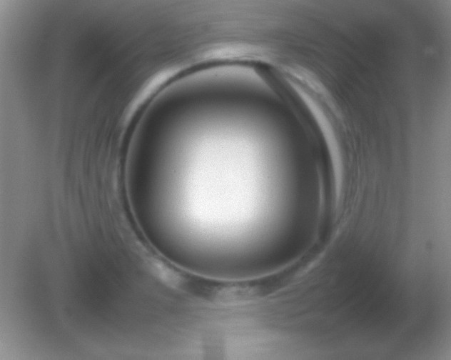 X0000082141277200701262233