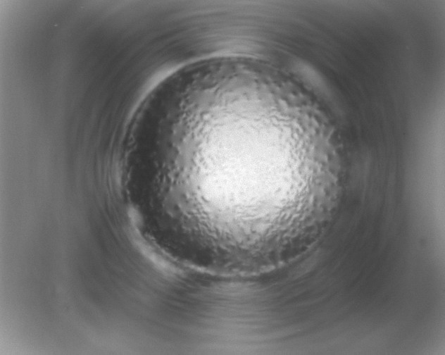 X0000082141284200701262233