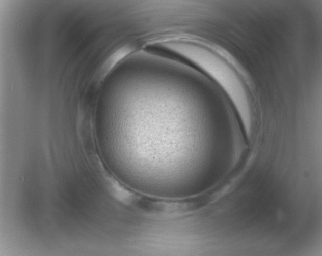 X0000082141289200701262233