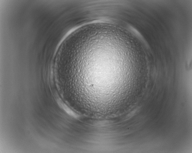 X0000082141292200701262233