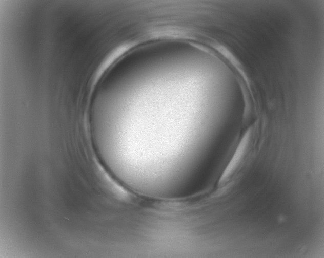 X0000082141293200701262233