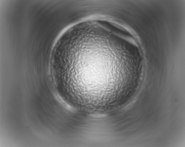 X0000082141296200701262233