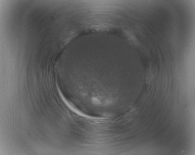X0000082141298200701262232