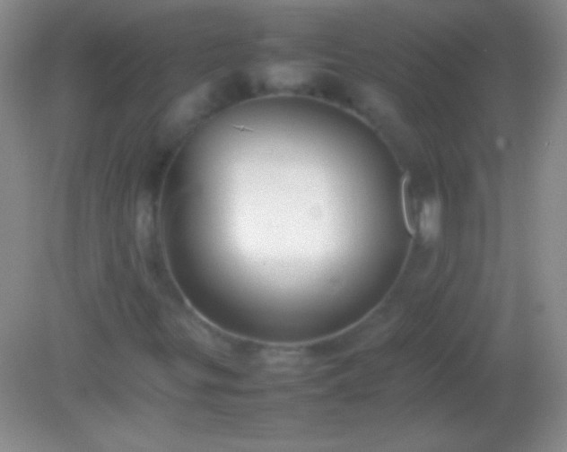 X0000082141299200701262232