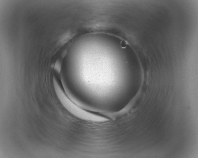 X0000082141300200701262232