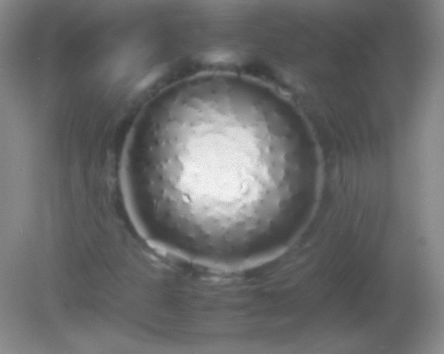 X0000082141301200701262232