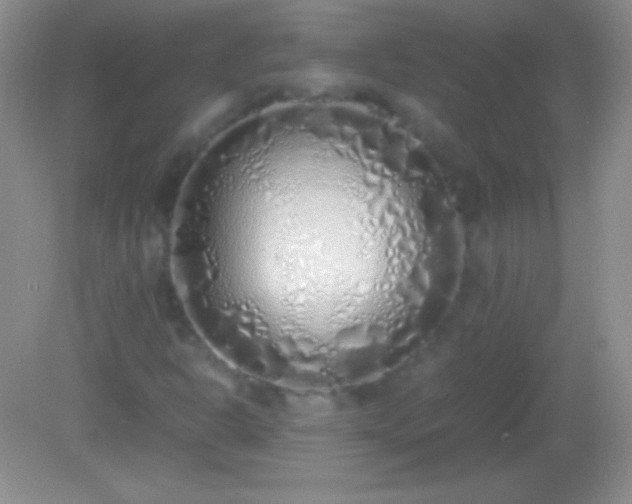 X0000082141302200701262232