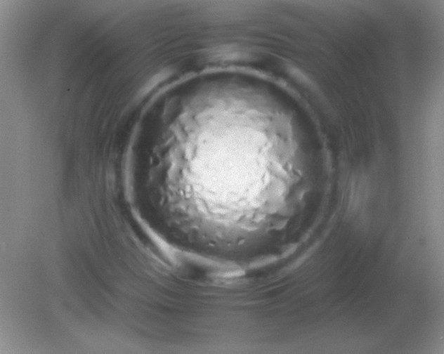 X0000082141305200701262232