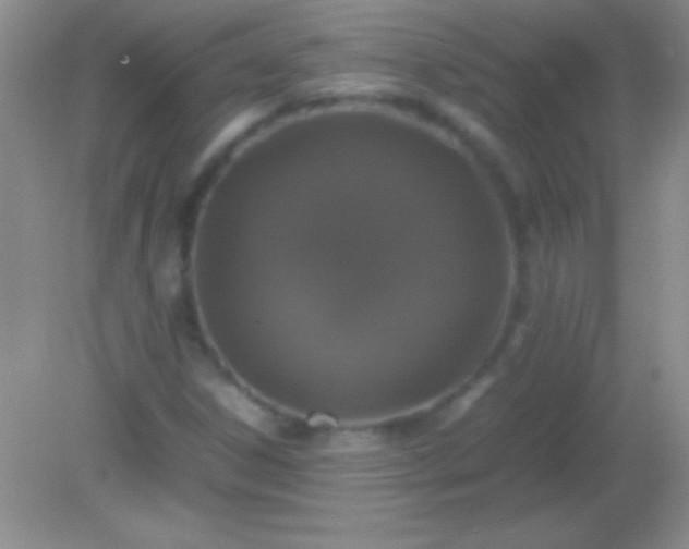 X0000082141306200701262232