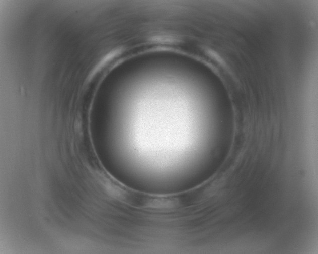 X0000082141307200701262232