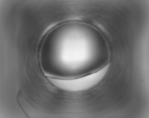 X0000082141308200701262232