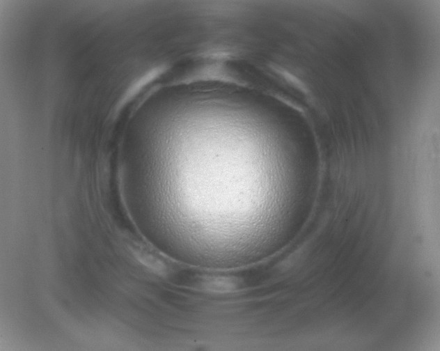X0000082141309200701262232