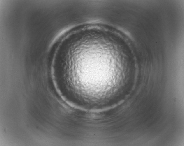 X0000082141311200701262232