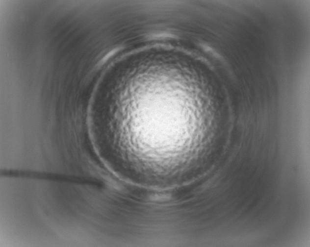 X0000082141313200701262232