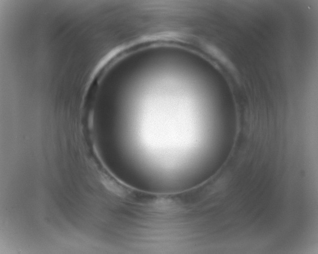X0000082141316200701262232
